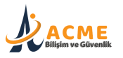 Acme Güvenlik Ve Bilişim Sistemleri